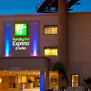 Holiday Inn Express Hotel & Suites Woodland Hills, An Ihg Hotel